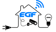 EGF SERVICES